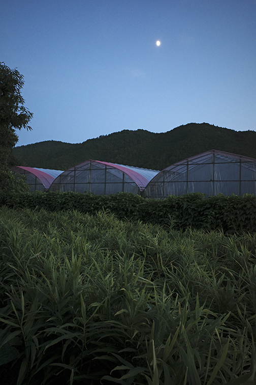 0212sigehide_house.jpg
