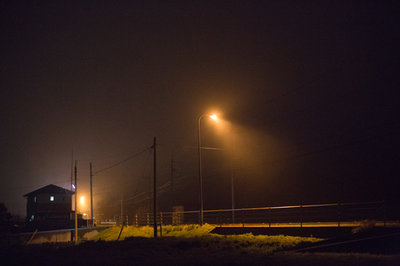 0320fog.jpg