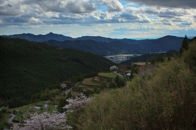 0330nakatani.jpg