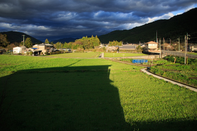 0330taromaro.jpg