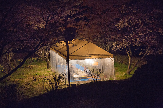 0401hanami.jpg