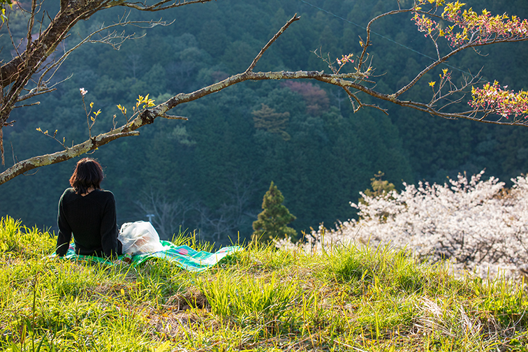 0407hanami.jpg