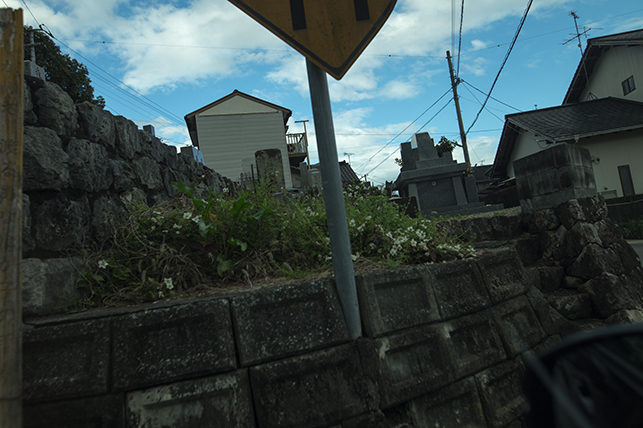 0414hakasagasi.jpg