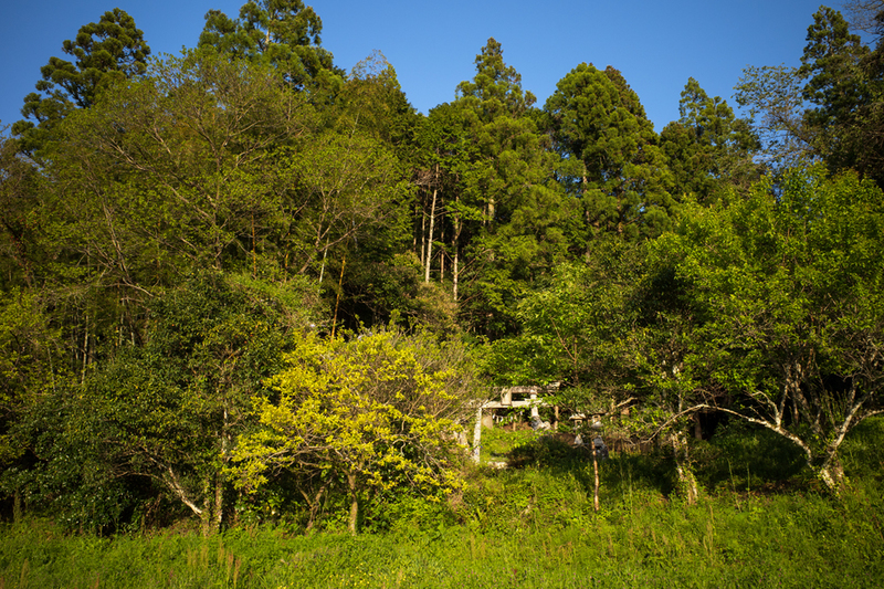 0422kariyagano.jpg