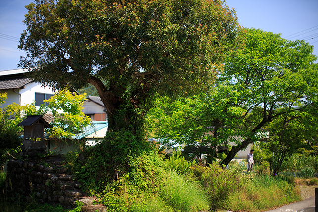 0511saoka08.jpg