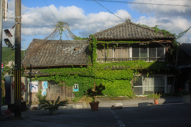 0515dangisho.jpg