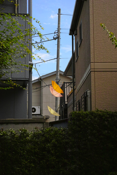 0626nakano.jpg