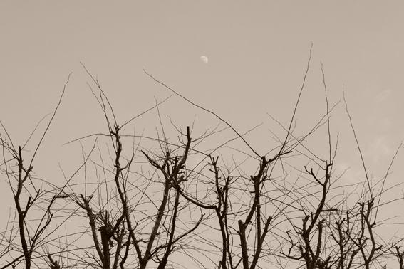 070127moon.jpg