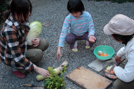 070128kakinohi01.jpg