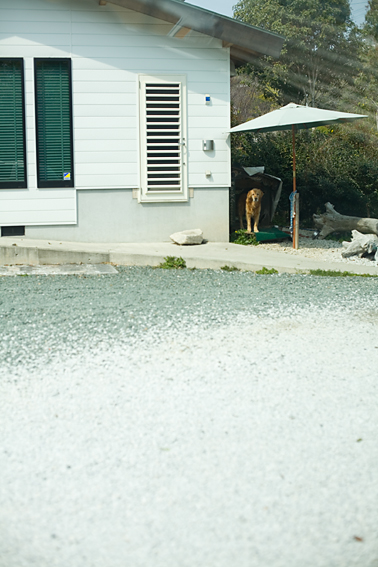 070323rockgreencafe.jpg