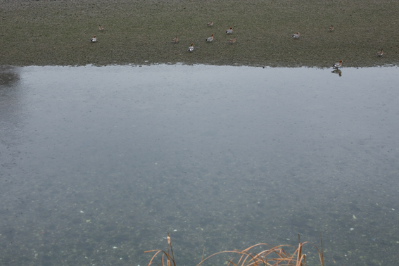 070327kagamigawa.jpg