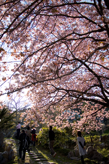 070330makino.jpg