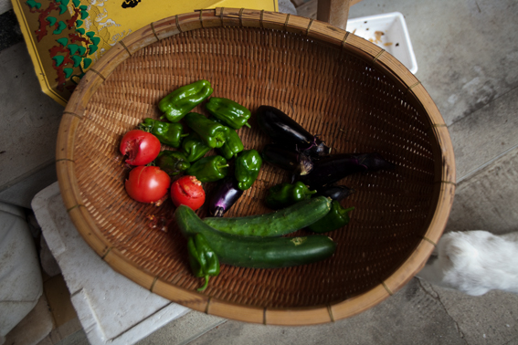 0721tomato.jpg