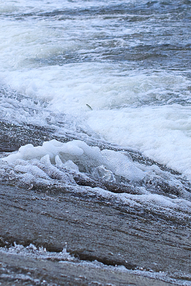 0820river.jpg