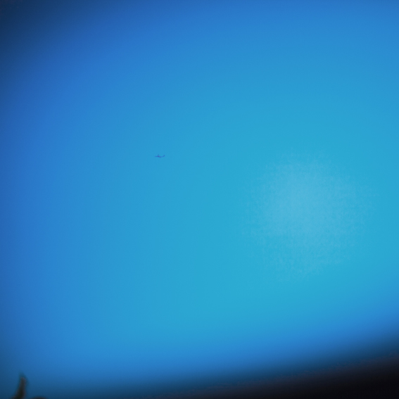 0910summertime05.jpg