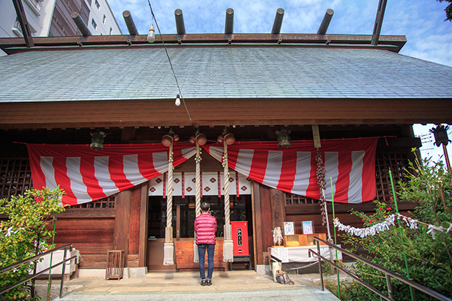 1108kochidaijingu.jpg