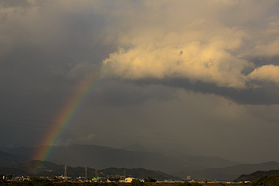 1113rainbow.jpg
