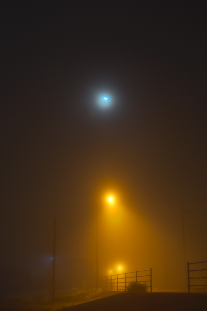 1126thefog.jpg
