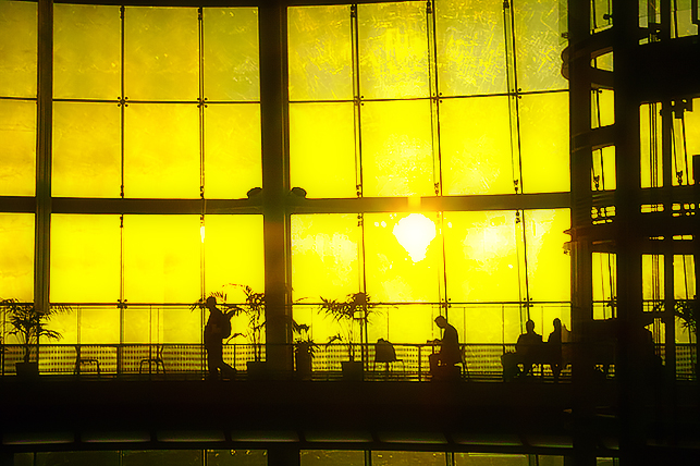 1205tokyo002.jpg