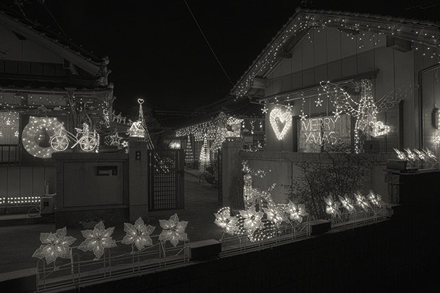 151227silentnight.jpg